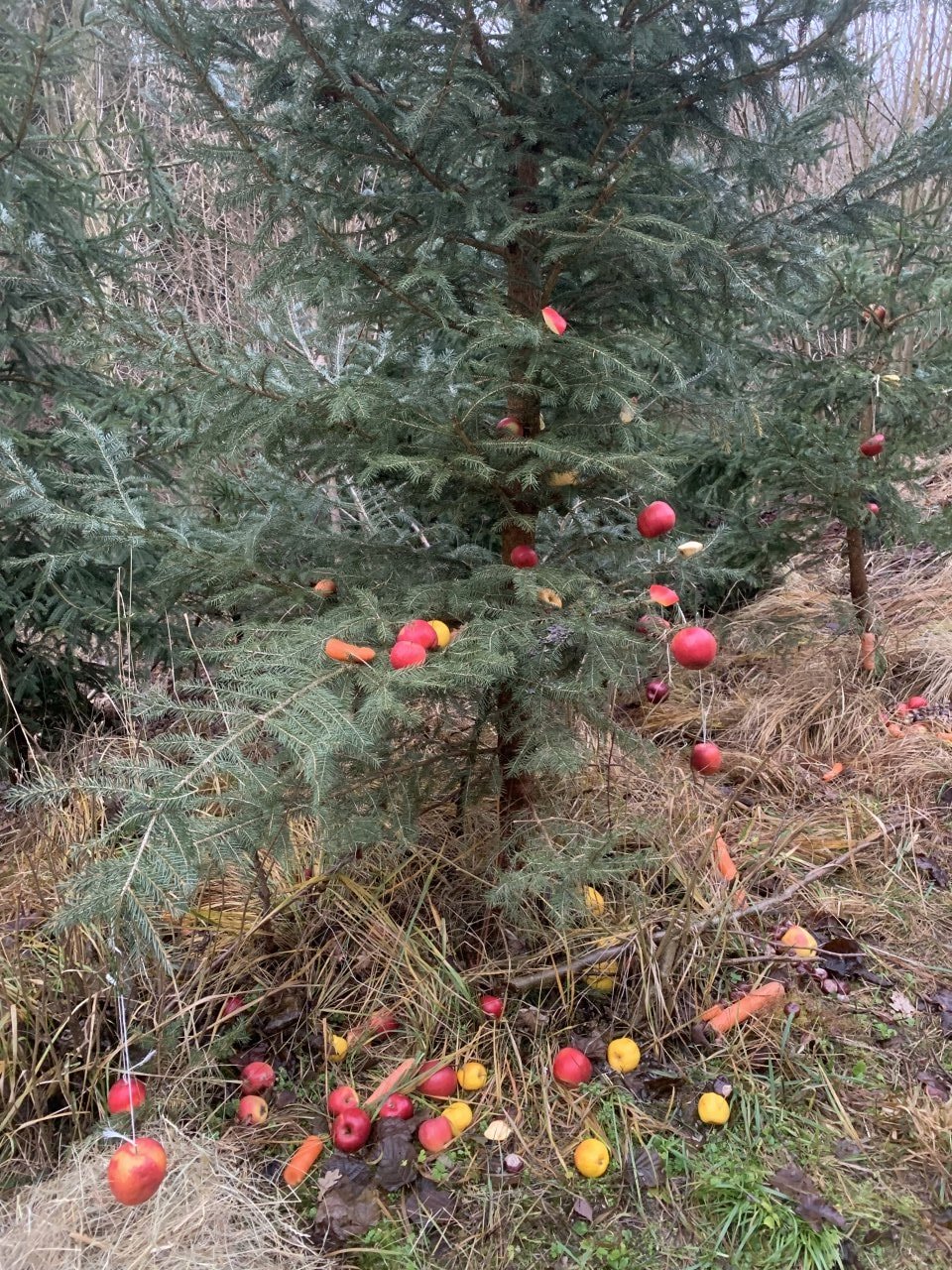 1736431271_IMG-3172